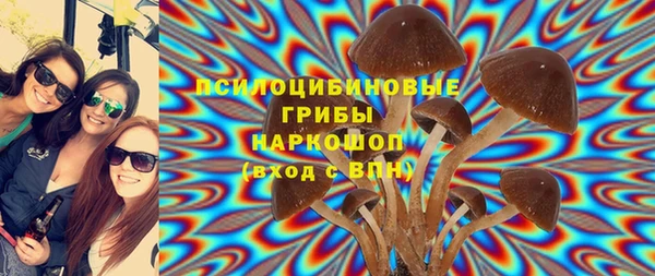 амф Нефтекумск