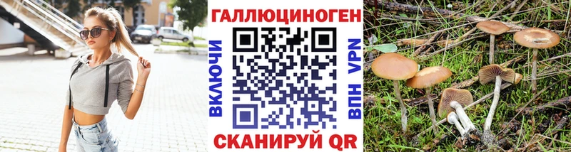 купить   Ильский  Псилоцибиновые грибы мухоморы 